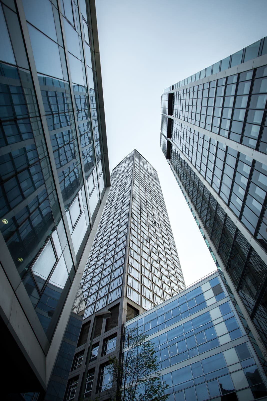 Business Insurance